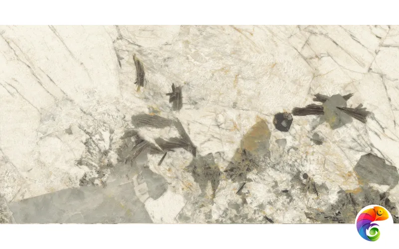 IMOLA The Room Керамогранит PAT WH6 12 RM QUARTZITE PATAGONIA 60x120 натуральный PAT WH6 12 RM КА-00062016