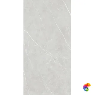 ELITE SILVER (6mm) (матовая) TAU Ceramica 120x280