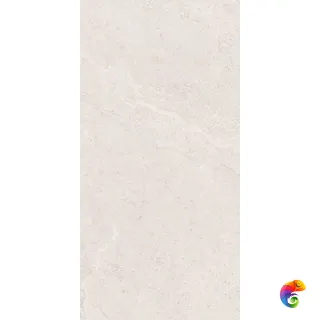 DORSET WHITE REC. TAU Ceramica 60x120