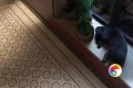 Коллекция Про Лаймстоун Спакко KERAMA MARAZZI