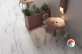Коллекция Монте Тиберио KERAMA MARAZZI