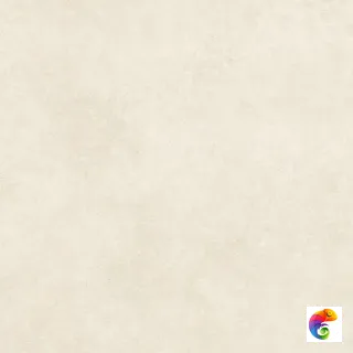 Norma Beige 60х60 N4BA0RMBL0H1MJ