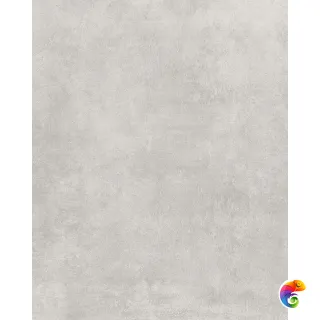 Moon Light Grey 60х60 69692