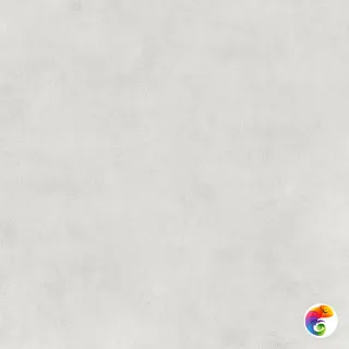 Villa Light Gray 60х60 N9BA0EVNA2G1MJ