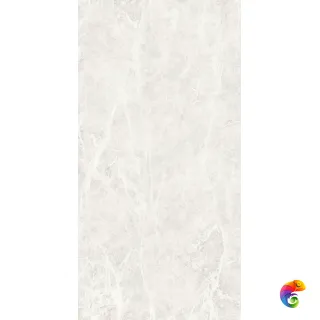 STAR GRAY LIGHT-POLISHED 60х120 N8454T44