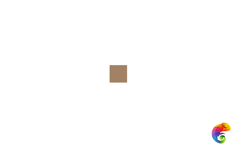 Гранит керамический L4404-1Ch Caramel 04 - Loose 10х10 см L4404/1C