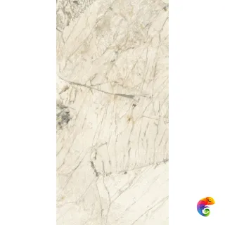 PAT WH6 12 RM 60x120