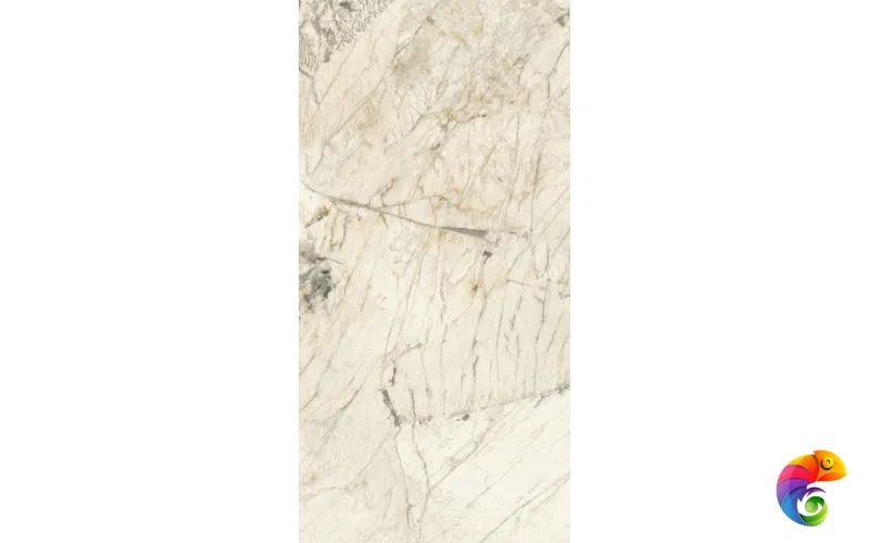 PAT WH6 12 RM 60x120