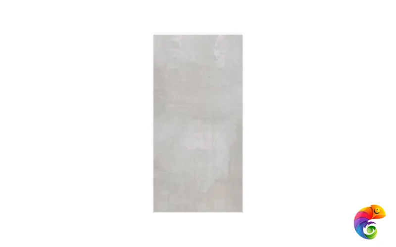 65800 Tatto Light Grey 120x300