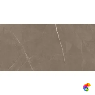 PIETRA ACTIVE GRAY 60X120