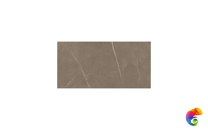 PIETRA ACTIVE GRAY 60X120