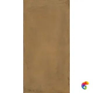 TERRA 12OC RM 60x120