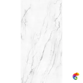 VICTORIA POLISHED 120x240