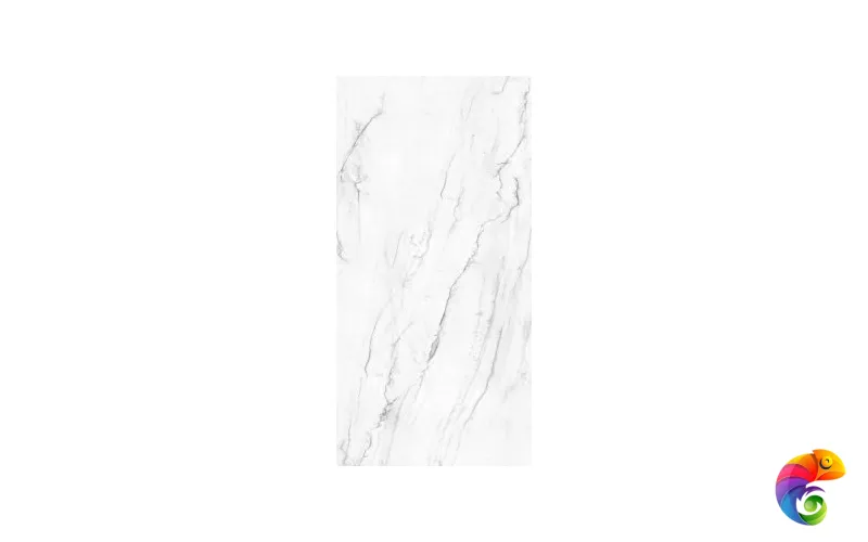 VICTORIA POLISHED 120x240