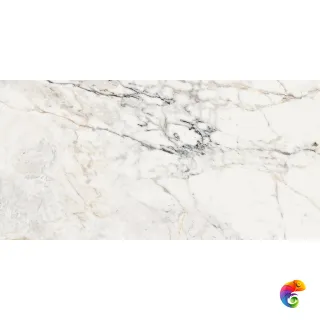 AE PAO6 12 LP 60х120