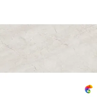 SAHARA LIGHT GRAY 60X120