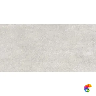 MODENA LIGHT GRAY MATT 60X120