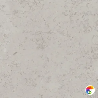 DD641020R   Про Лаймстоун серый светлый натур обрезной 60х60 DD641020R