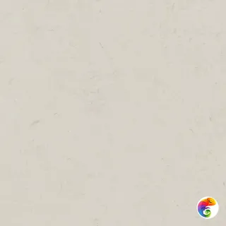 DD641320R  Про Лаймстоун бежевый светлый натуральный обрезной 60х60 DD641320R