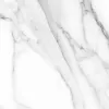 Extra white белый PG 02 60х60 010400001266