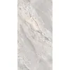 ARGENTA GREY  60х120 СК000043082