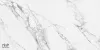 Artic statuario  Glossy 60x120 NTT99528P