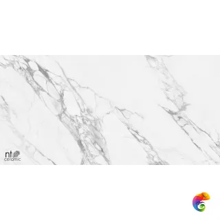 Artic statuario  Glossy 60x120 NTT99528P