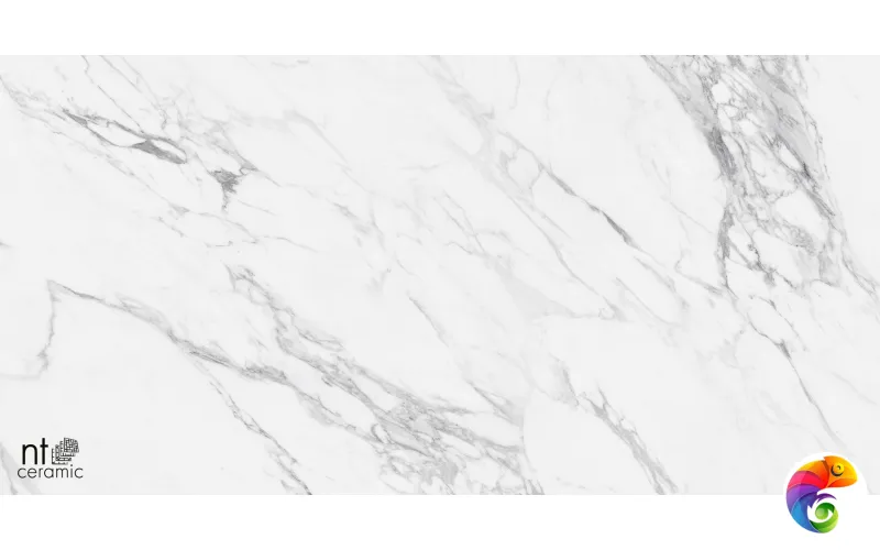 Керамогранит NTT99528P Artic statuario  Glossy 60x120