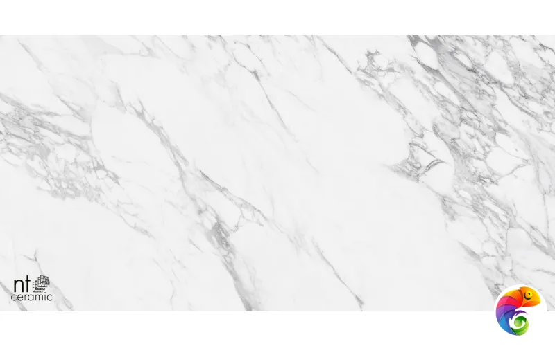 Керамогранит NTT99528P Artic statuario  Glossy 60x120