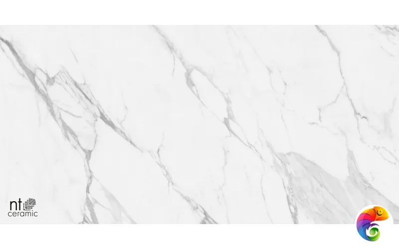 Керамогранит NTT99528P Artic statuario  Glossy 60x120