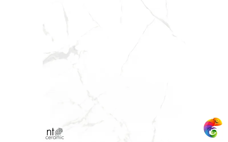 Керамогранит NTT996070M Callacata carving 60x60
