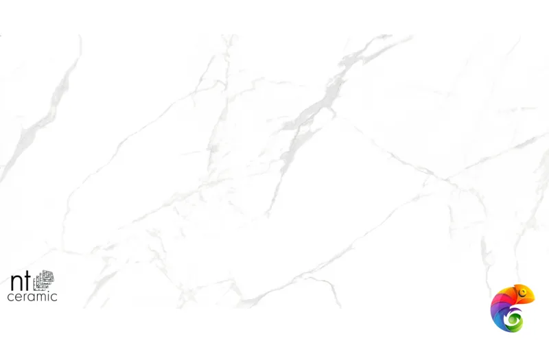 Керамогранит NTT996070M Callacata carving 60x60