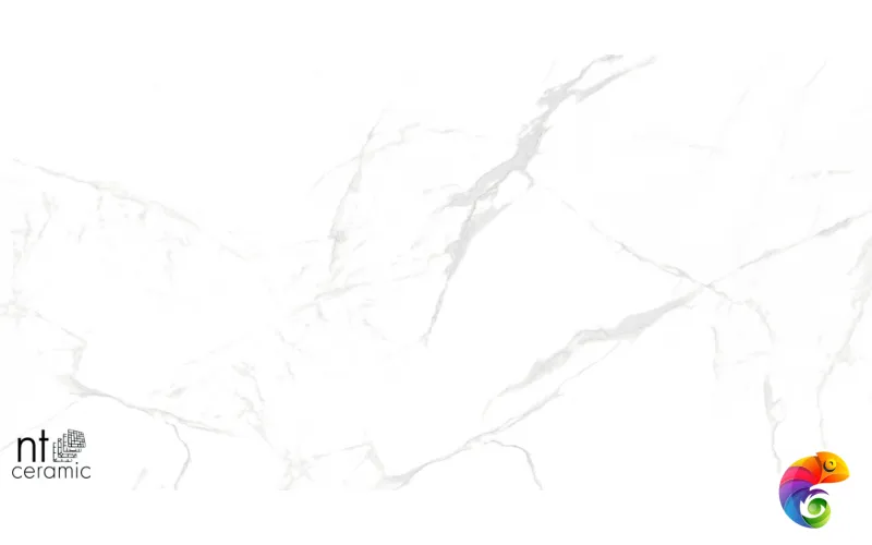 Керамогранит NTT996070M Callacata carving 60x60