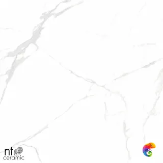 Callacata carving 60x60 NTT996070M