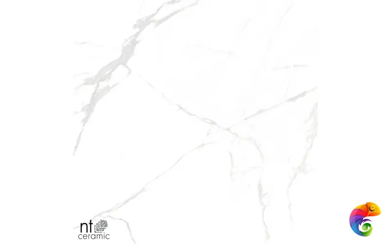Керамогранит NTT996070M Callacata carving 60x60