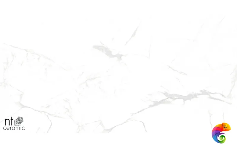 Керамогранит NTT996070M Callacata carving 60x60