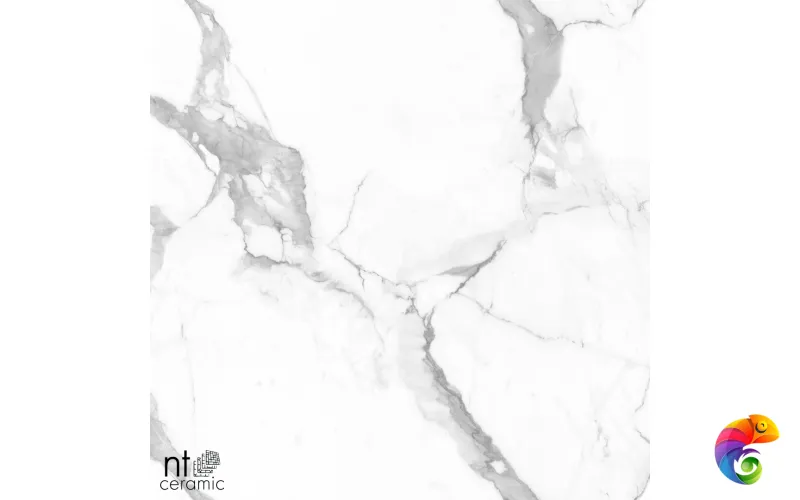 Керамогранит NTT995160M Callacata Endless Mat 60x60