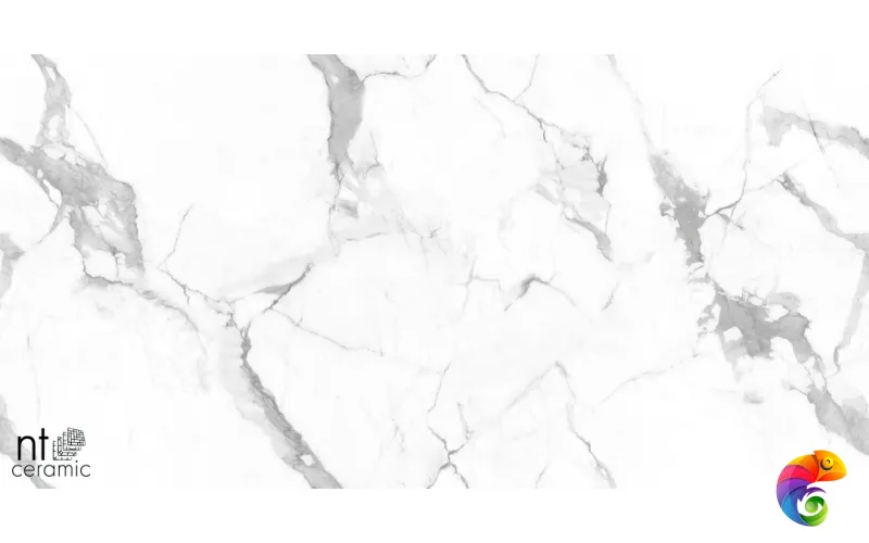 Керамогранит NTT995160M Callacata Endless Mat 60x60