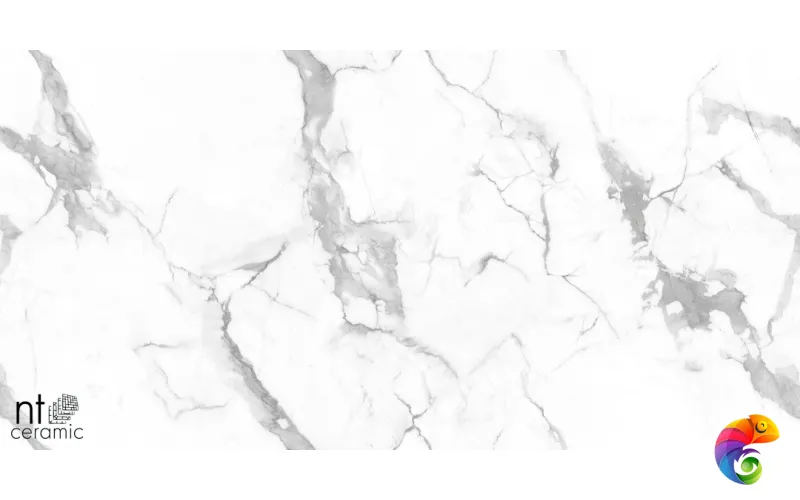 Керамогранит NTT995160M Callacata Endless Mat 60x60