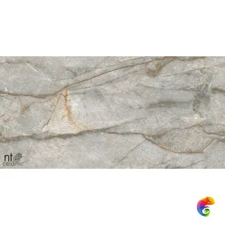 Forest Carving 60x120 NTT99517M