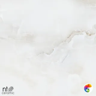 Onyx Majestic 60x120 NTT99503P