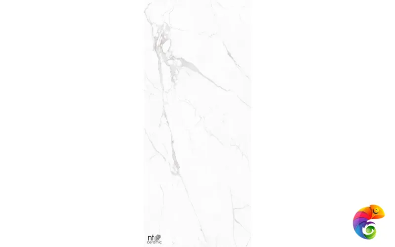 Керамогранит NTT3605P Marble White 120x280
