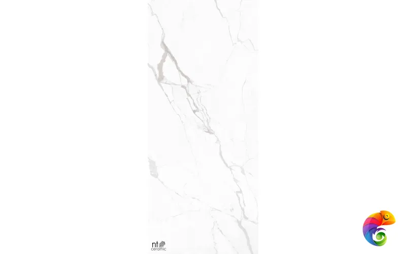 Керамогранит NTT3605P Marble White 120x280