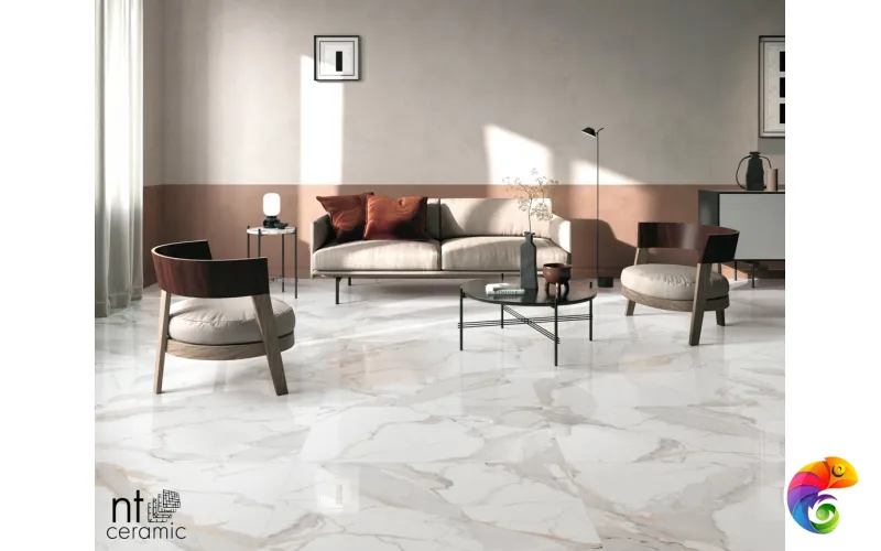 Керамогранит NTT9121P NTT9121P Calacatta Light Grey 60x120