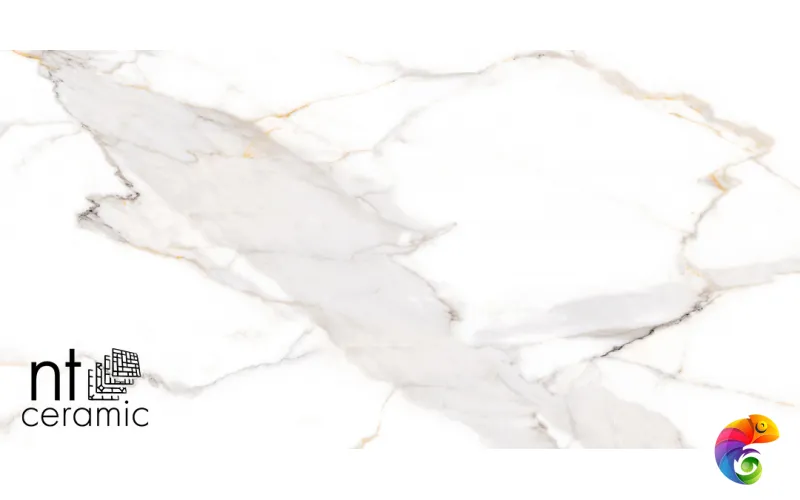 Керамогранит NTT9121P NTT9121P Calacatta Light Grey 60x120