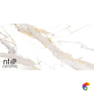 NTT9121P Calacatta Light Grey 60x120 NTT9121P