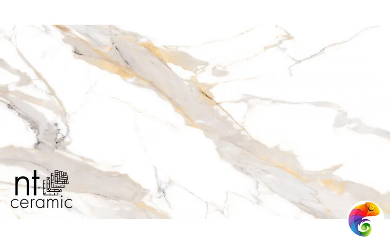 Керамогранит NTT9121P NTT9121P Calacatta Light Grey 60x120