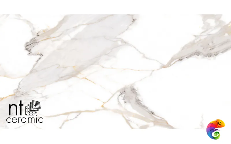 Керамогранит NTT9121P NTT9121P Calacatta Light Grey 60x120