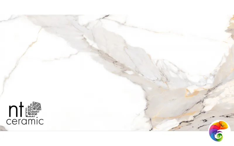 Керамогранит NTT9121P NTT9121P Calacatta Light Grey 60x120