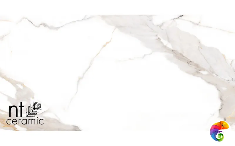 Керамогранит NTT9121P NTT9121P Calacatta Light Grey 60x120